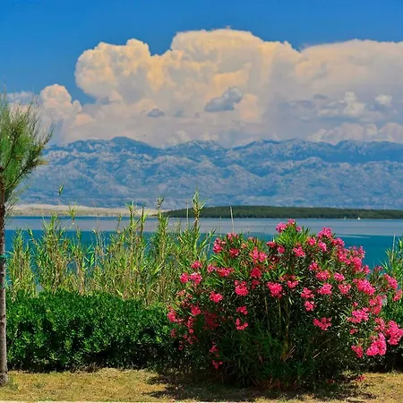 Luna Privlaka (Zadar)